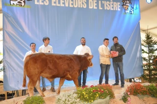 La ferveur au rendez-vous du Concours départemental d'élevage de Lans-en-Vercors