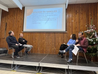 La menace de la peste porcine